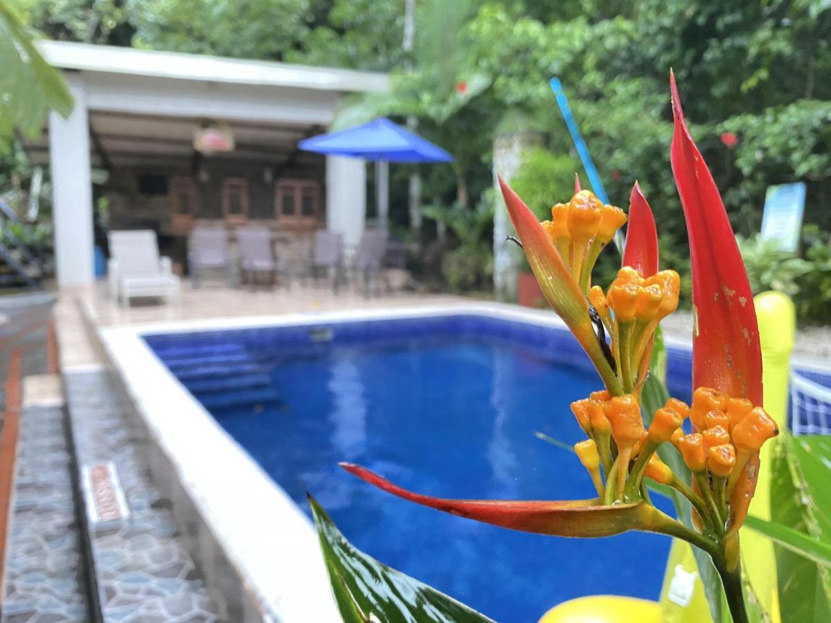 La Posada Jungle Hotel Manuel Antonio Luaran gambar