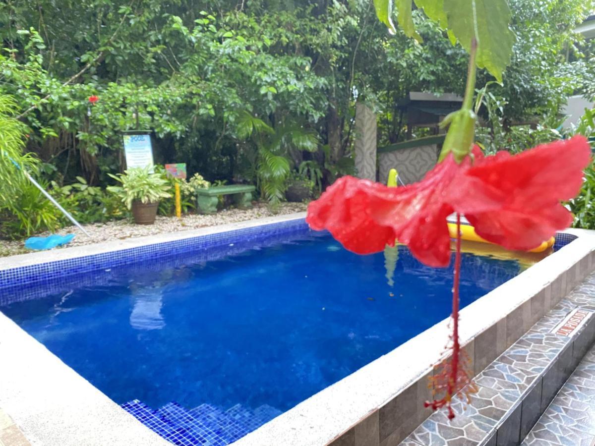 La Posada Jungle Hotel Manuel Antonio Luaran gambar