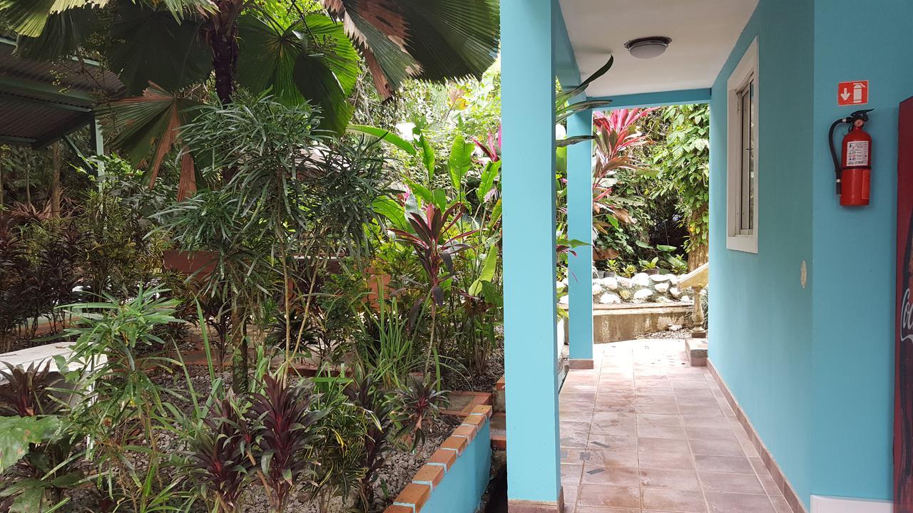 La Posada Jungle Hotel Manuel Antonio Luaran gambar