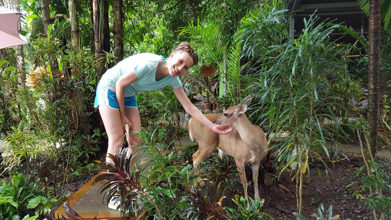 La Posada Jungle Hotel Manuel Antonio Luaran gambar