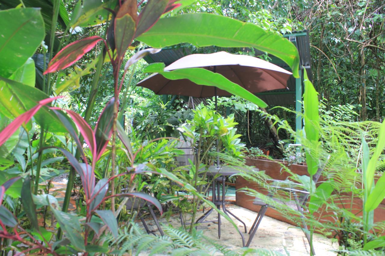 La Posada Jungle Hotel Manuel Antonio Luaran gambar