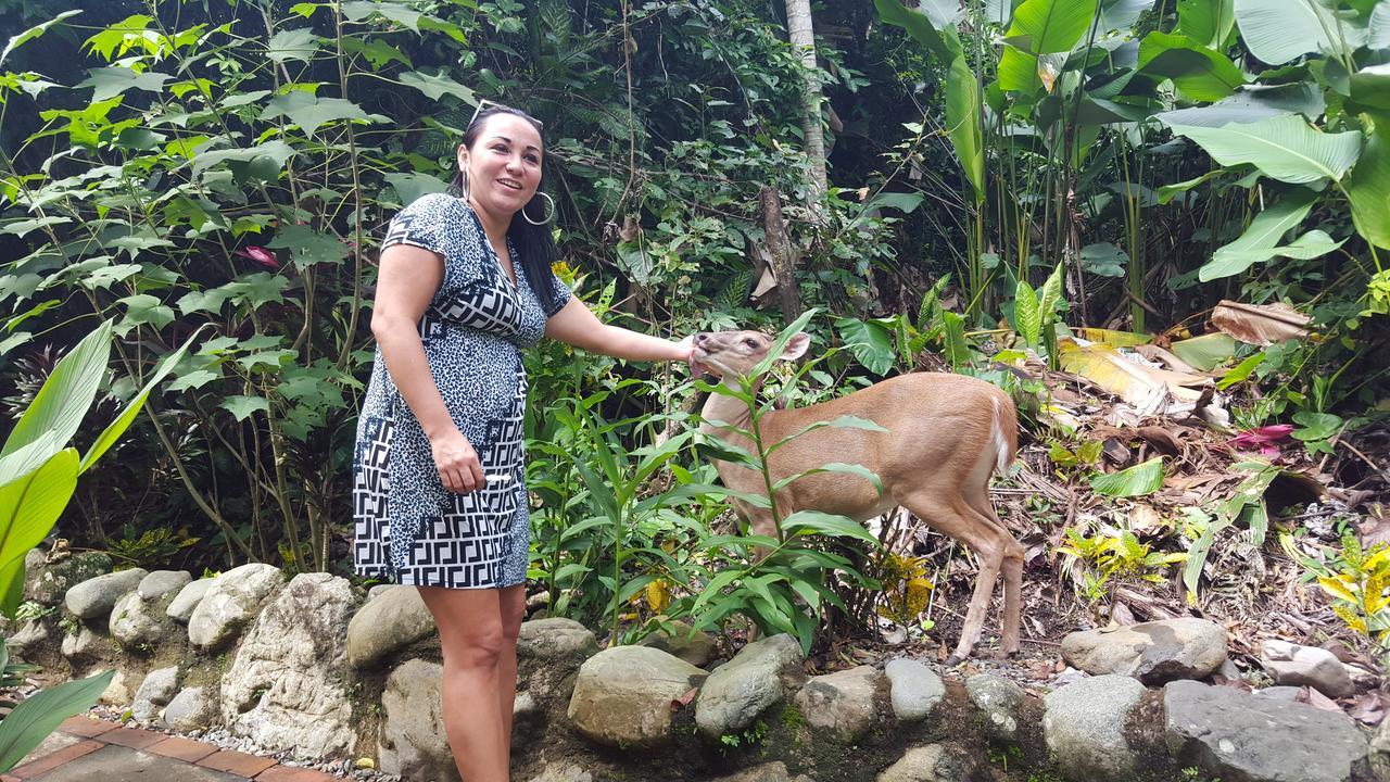 La Posada Jungle Hotel Manuel Antonio Luaran gambar